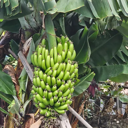 דירה Joli Larano - Bbq In *